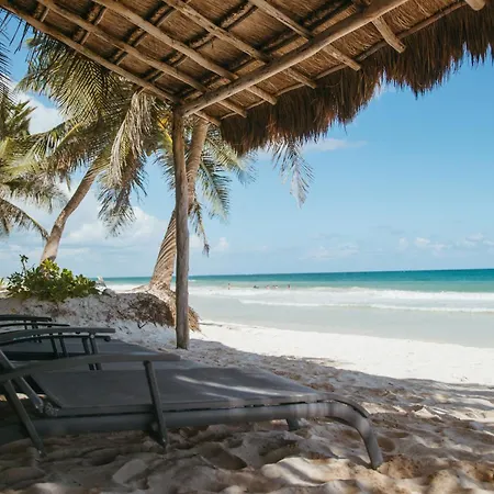Olas Tulum