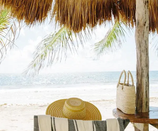 Olas Tulum