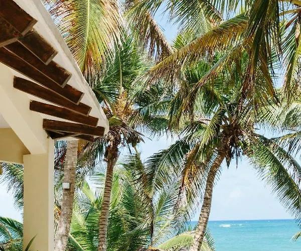 Bed and breakfast Olas